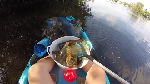 Removing Over 20 Bottles From a River in a 10 Foot Kayak
