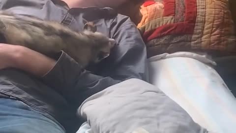 Man Sleeping with a Opossum