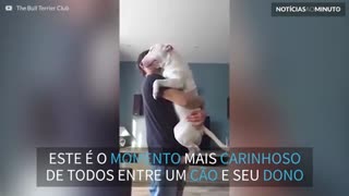 A dança romântica entre um cão e o seu dono