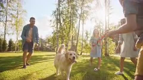 Snapshots of a family having fun