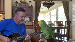 Parrott sings along to Everlong