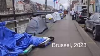 Brussels, Belgium - Victim of Mass Invasion Perpetuated By Their Traitorous Government - HaloRock