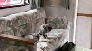 RV remodel and living Video 1