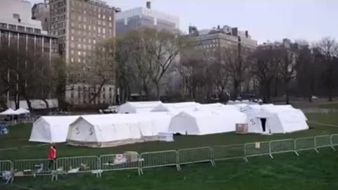 March 2020 - New York City Central Park Child Trafficking Rescue