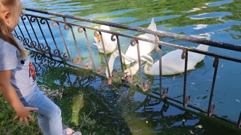 Girl and swan 🦢👧