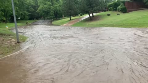 Kids Canoeing Down the Street