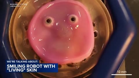 This smiling robot has a face covered in 'living' skin 🙂 | ABC 7
