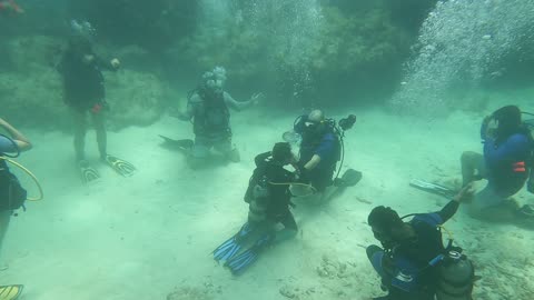 Checkout Dives in Key Largo with our favorite boat Amoray Dive Center