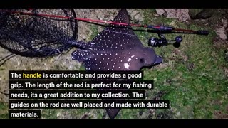 Customer Comments: Ugly Stik Carbon Spinning Fishing Rod