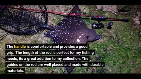 Customer Comments: Ugly Stik Carbon Spinning Fishing Rod