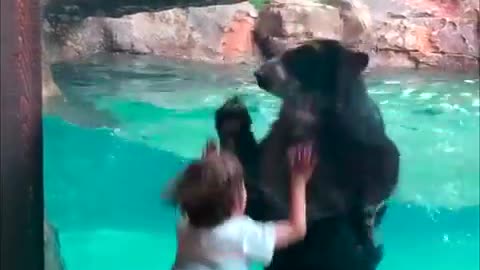 Bear and Boy Jump Together