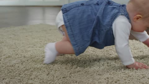 First Baby Crawling - 2024 Videos - Best Funniest Videos Of The week