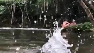 fish jumping and catching a fruit