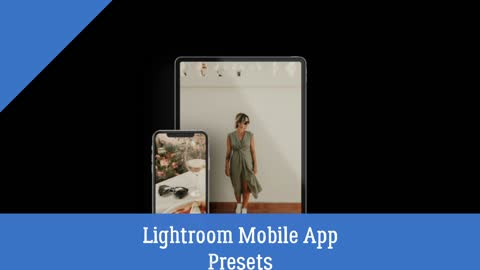 Lightroom Mobile App Presets