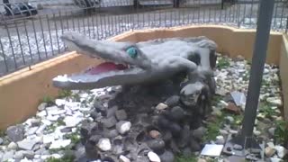 Incrível escultura em pedra de um jacaré na praça, olha os dentes da fera! [Nature & Animals]