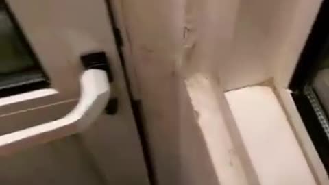 White dog doesn't let owner open door