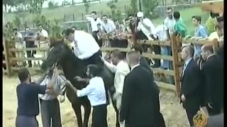 Erdogan horse fall