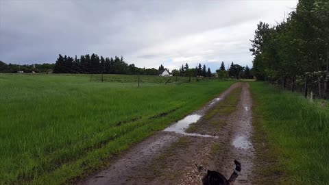 Man Films His Walks Through A Year Of Seasons & Weather