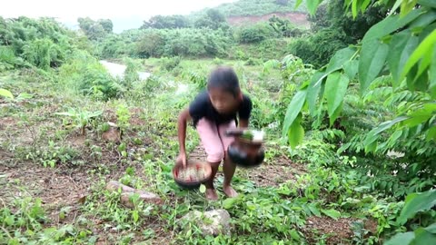 Survival skills: Find & catch crabs for food at river flow - Make crab food eating delicious