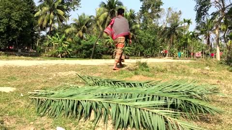 Grandma Mat making with palm leaves part 1