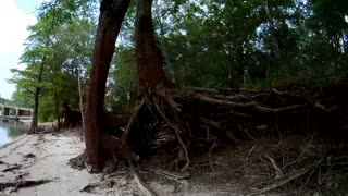 Waccamaw river