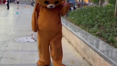 The brown bear guy today knows sadness part 98