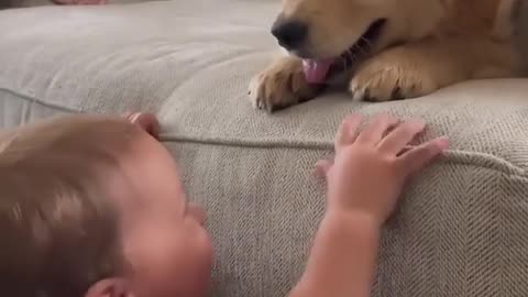 Baby Kisses Puppy