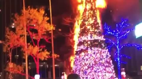 Fox News Christmas Tree Goes Up In Flames!