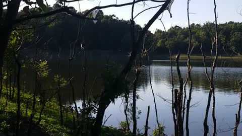 Fishing on the lake..