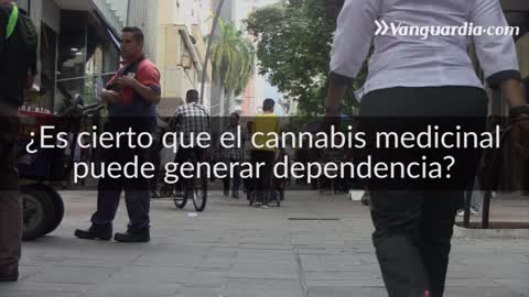 Mitos y verdades de la marihuana medicinal