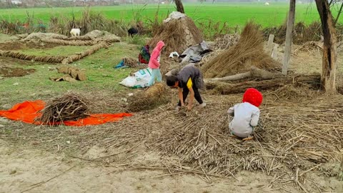 Daily Routine In UP Village Life || Uttar Pradesh Real Natural Lifestyle || Real Life India