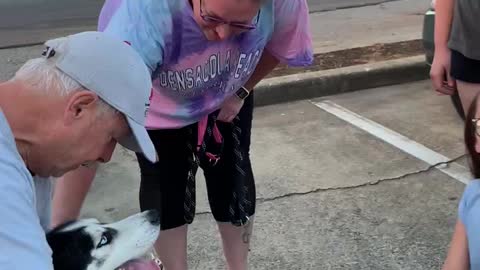 Dog rescue worker has heard time letting pup go to new owners😢