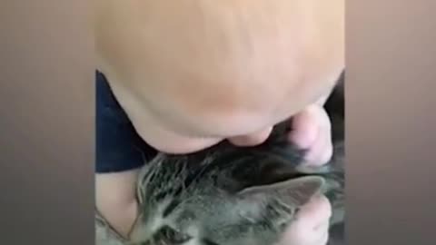 The Funniest video between baby and cats and try not to laugh if you can