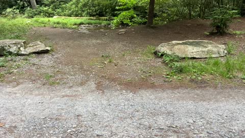 Cataloochee Camp Ground