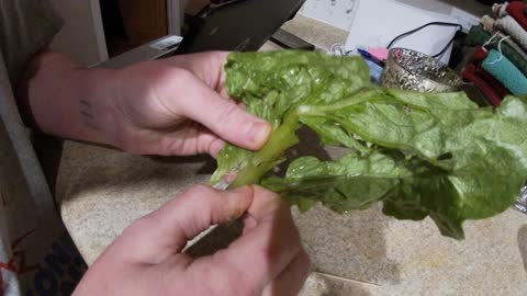 WARNING ,WARNING LETTUCE HAS A FILM ON IT [PLASTIC]