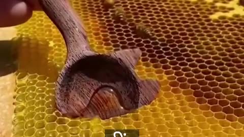 शहद खाने के फायदे | शहद की अद्भुत शक्ति | Benefits of Honey |