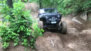 Angry TJ on the Rocks