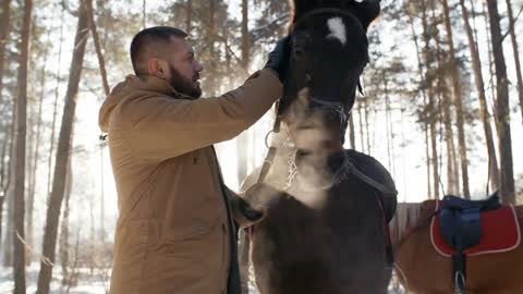 Caucasian man caressing cute horse while it chewing something in forest on sunny winter day