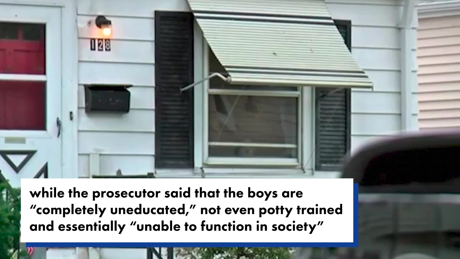 Like a 'horror movie': Naked boys who escaped feces-covered home looked like 'cavemen' who'd 'never seen the sun before': affidavit"