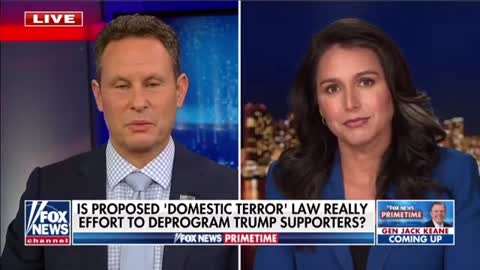 Tulsi Gabbard Issues Warning About Domestic Terrorism Bill