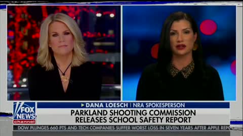 Dana Loesch weighs in on Florida commission recommendation to arm teachers