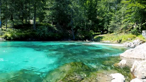 Beautiful Scenery of Flowing River