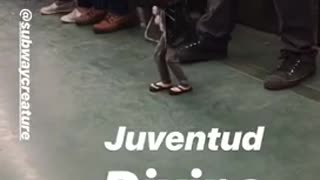 Subway puppet dancing music sing