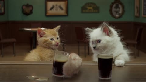 Two Kittens Discuss Their Obsessions Over A Glass Of Beer
