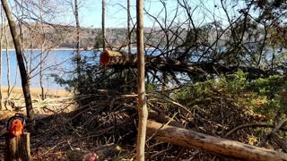 Beaver Lake Fish Habitat Project - Winter 2021