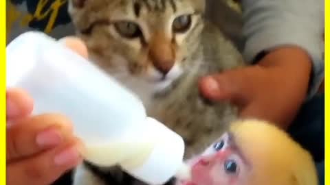 My lovely cate and Ani monkey together enjoy milk