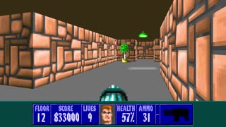 Wolfenstein 3D (PC) Playthrough E1.16