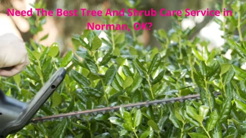 DR. M Enterprises Inc - Tree And Shrub Care in Norman, OK