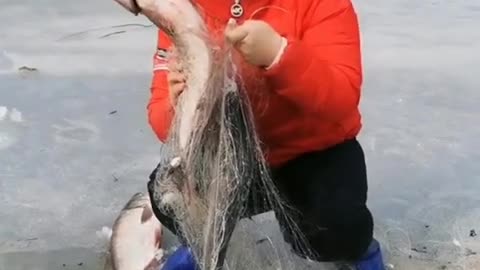 Funny Fishing Video