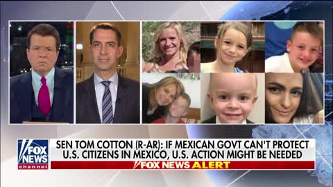 Cotton: Mexican government can't handle the cartel violence